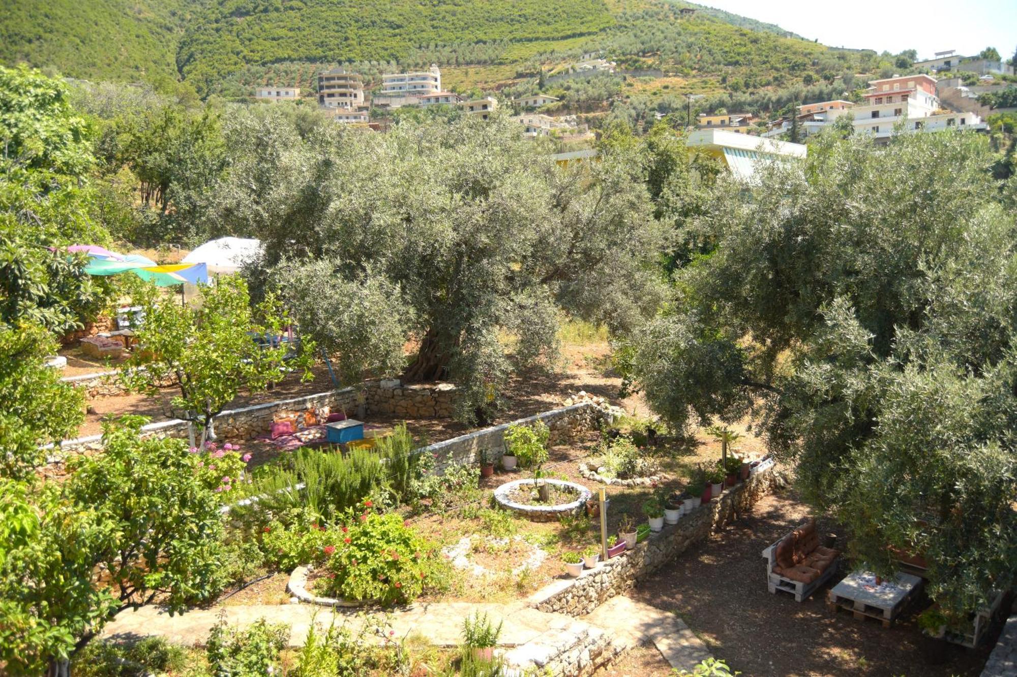 Vila Toskaj Vlore Ngoại thất bức ảnh